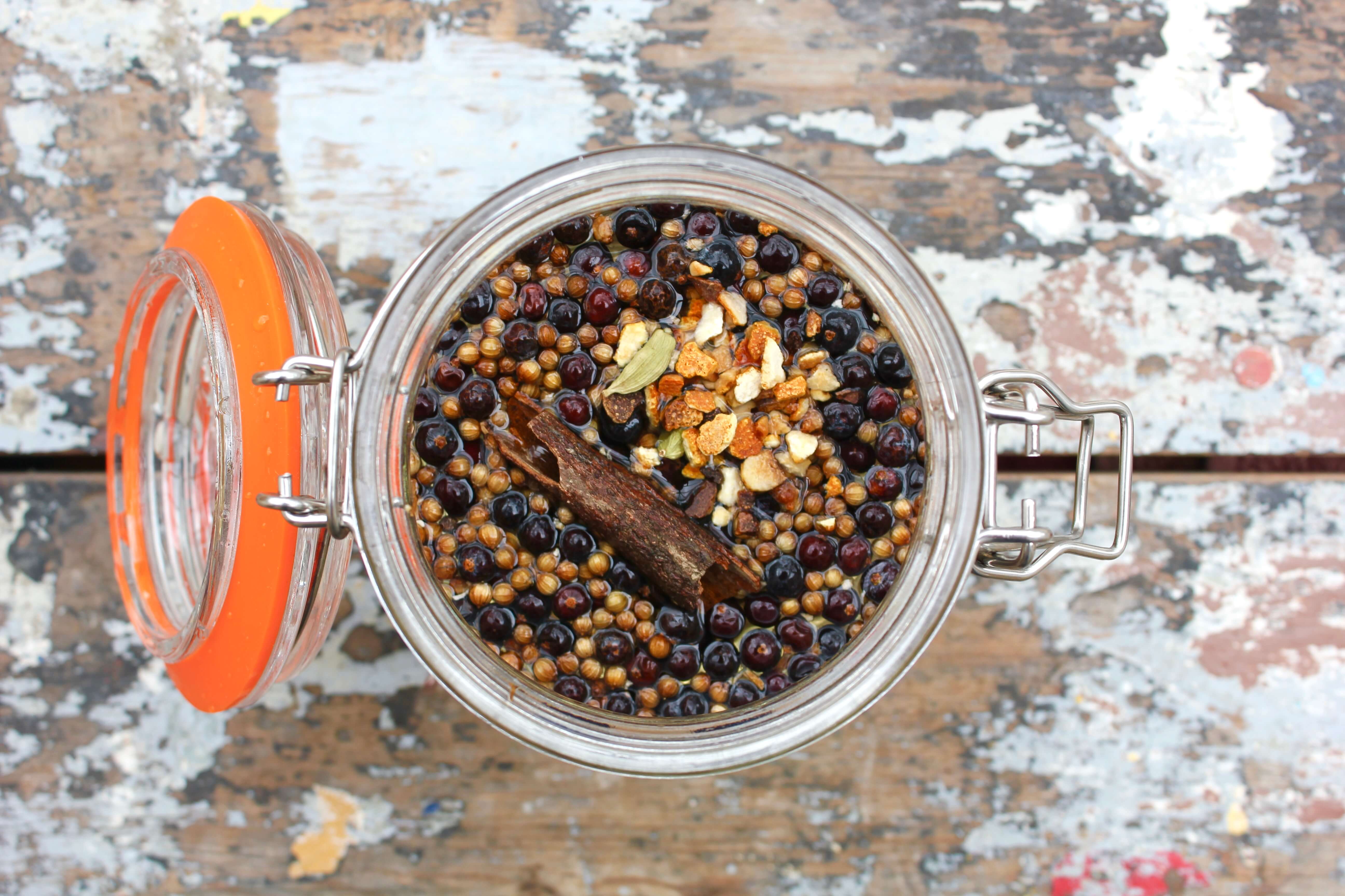 Recipe | How to Make Your Own Gin – Patricia Maria