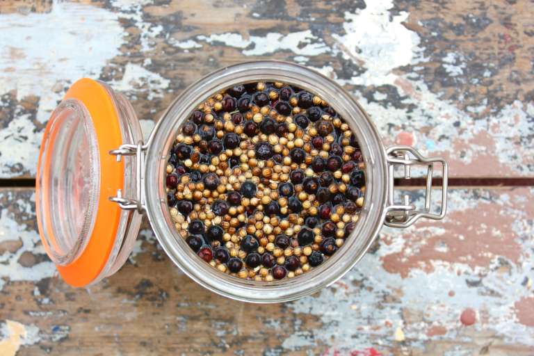 Homemade Gin Making - Infusing Jar