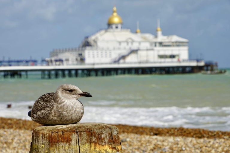 Eastbourne Beach