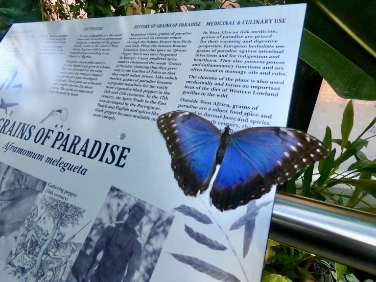 Bombay Sapphire Gin Distillery - The Glasshouse