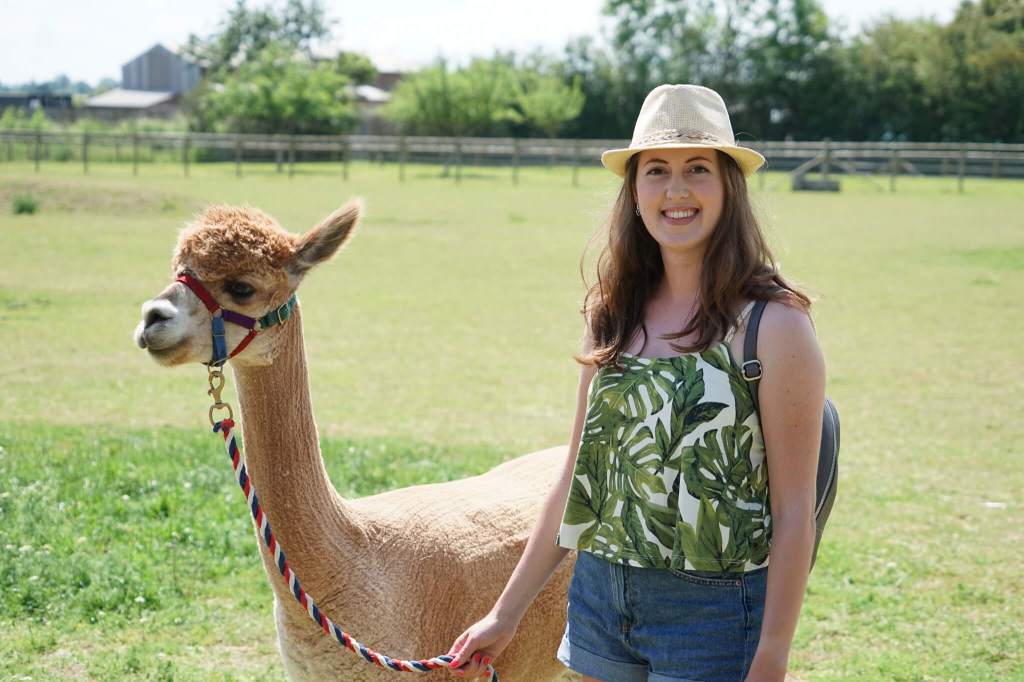 Carys Alpacas Somerset